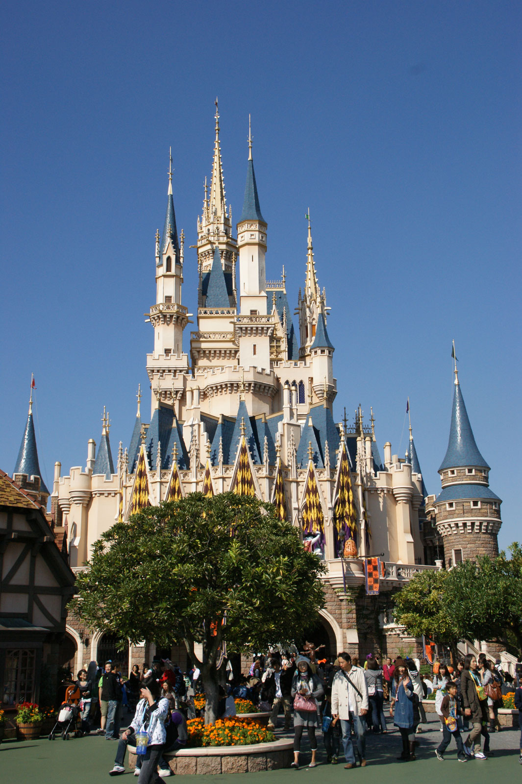 http://www.mistyhill.org/images/TDL_200810_02.jpg